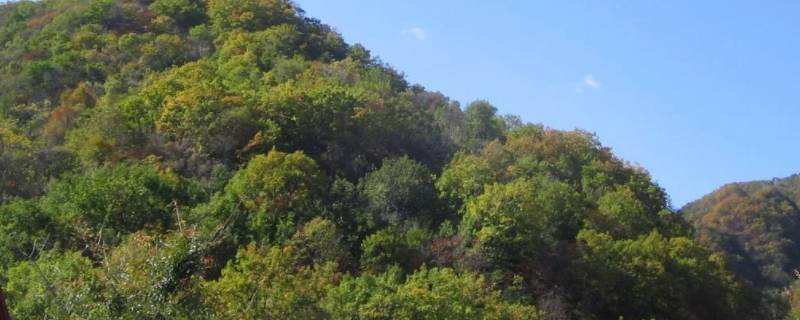 关门山在哪个省哪个市