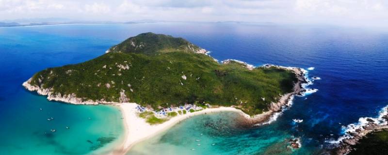 西沙群岛的鱼有什么特点