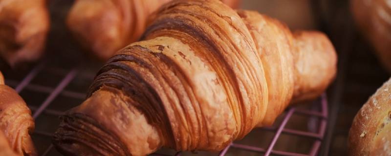 做面包松软的关键是什么