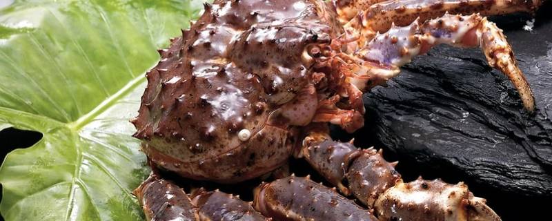 帝王蟹有虫子正常吗