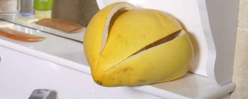 柚子皮可以驱赶蟑螂吗