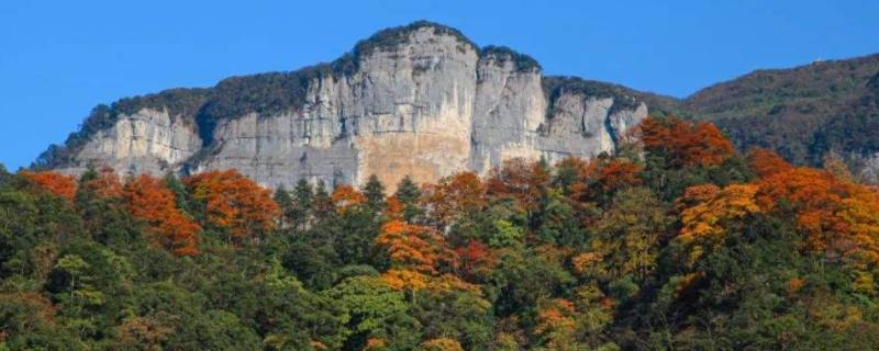 金佛山海拔多少米