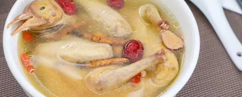 鸽子汤要不要焯水