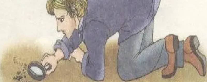 法布尔观察昆虫时有哪些特点