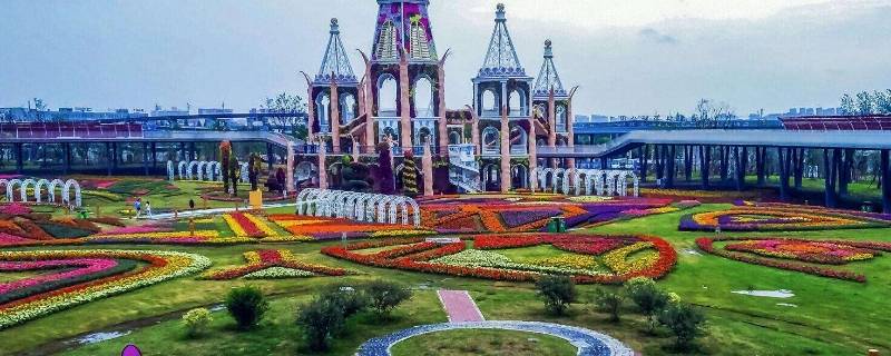 浦江郊野公园可以带宠物吗