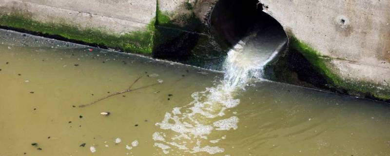 无纯水是什么水