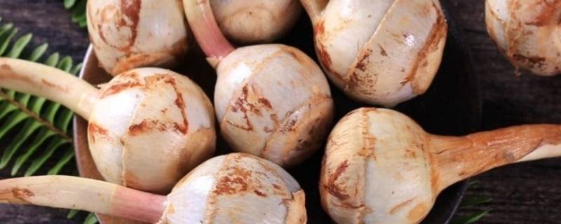 慈姑和茨菇的区别