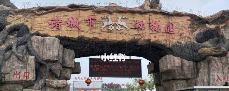诸城动物园有哪些动物