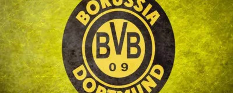 哈兰德在哪个俱乐部