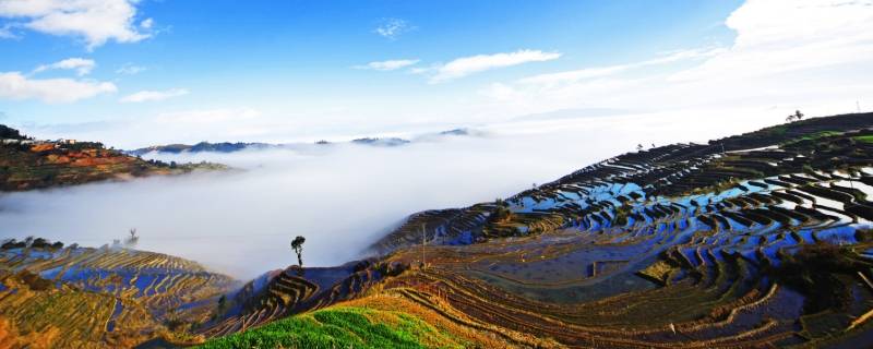 哀牢山在云南什么地方