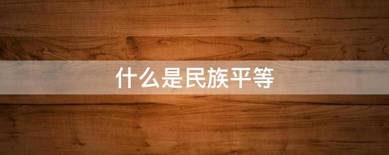 什么是民族平等