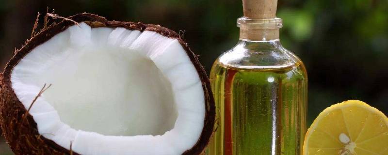 椰子油可以代替食用油炒菜吗