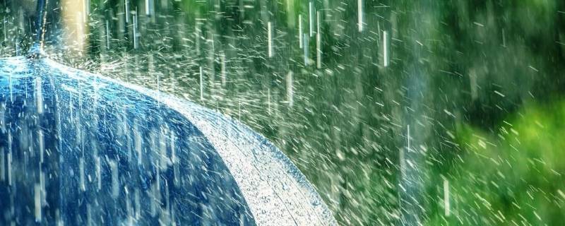 被雨淋过的头发要洗吗