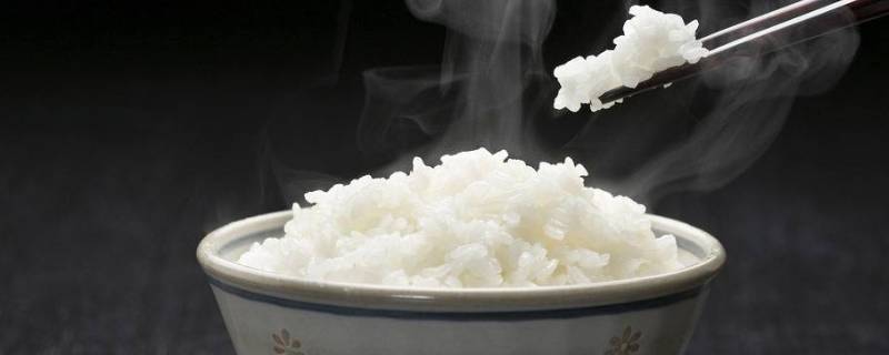米饭可以放多久