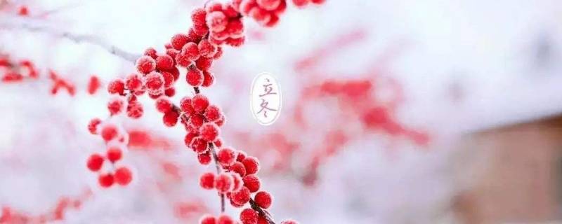 关于立冬的小知识