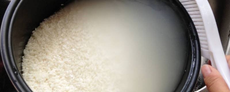淘米会流失哪种营养素