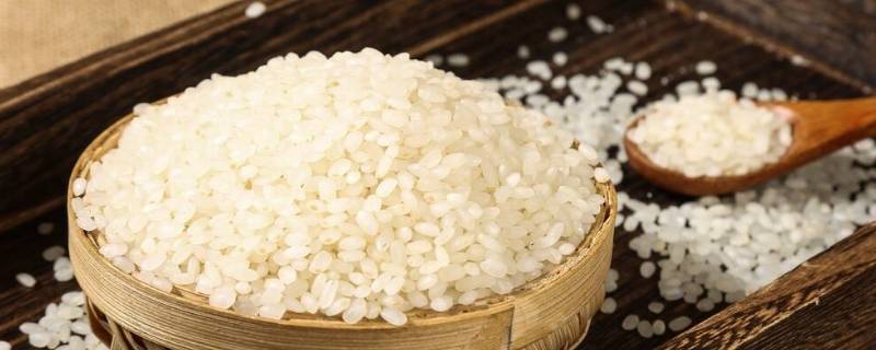 大米能不能放冰箱冷冻