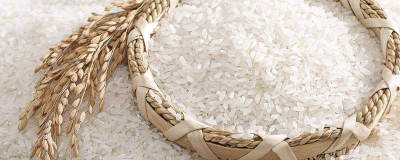 一级米和二级米区别