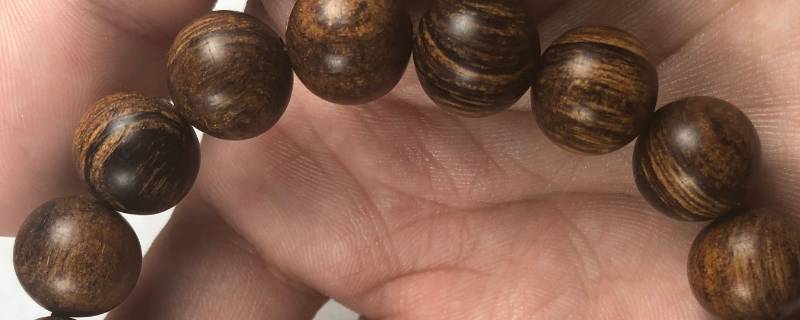 印尼贡木和巴布亚贡木的区别