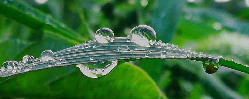 雾霜露水属于降水吗