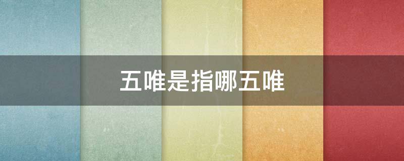 五唯是指哪五唯