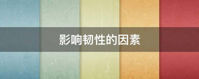 影响韧性的因素