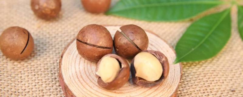 夏果和夏威夷果一样吗