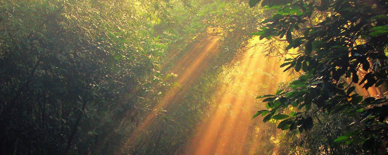 不可以用眼睛直接观察太阳对吗