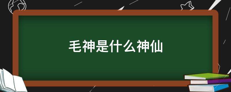 毛神是什么神仙
