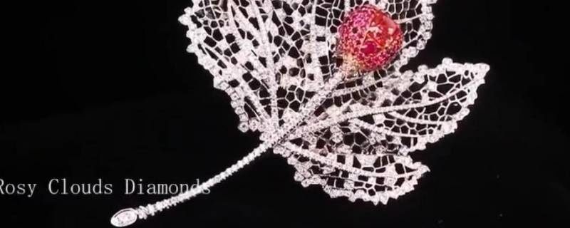 胸针是干什么用的