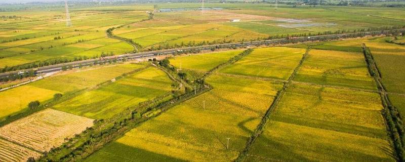 黄淮海地区包括哪些省