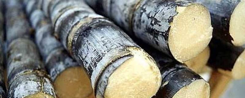 甘蔗是南方还是北方的