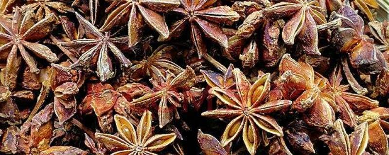 煮肉去腥的材料是什么