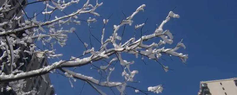 3度会不会下雪