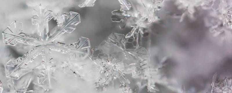 雪花有8个花瓣吗
