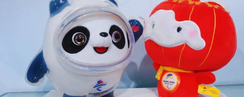 冰墩墩里面是什么材质