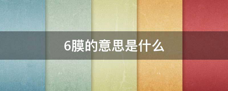 6膜的意思是什么
