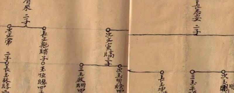 农村接谱是什么意思