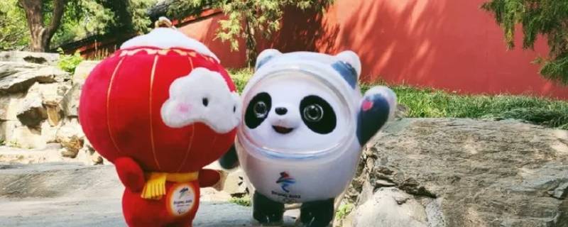 冰墩墩有啥用
