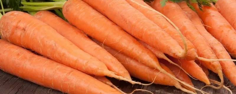 小人参指的是什么