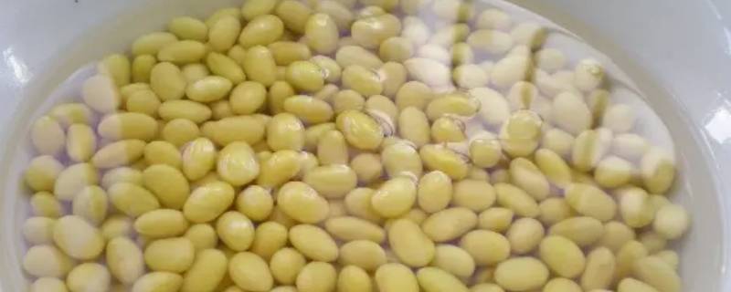 冬天泡豆子用凉水泡几个小时