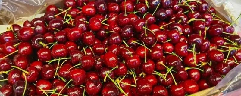 2j3j车厘子有什么区别