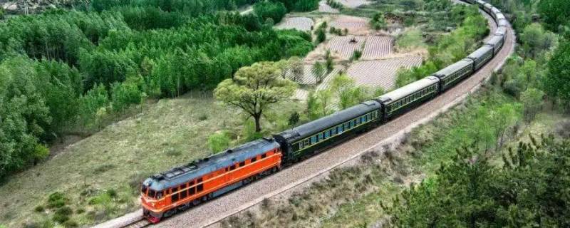 火车40号在什么位置