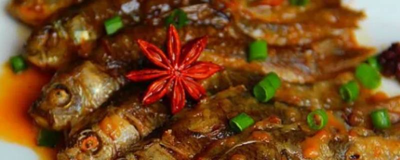 糟鱼为什么不去鱼鳃