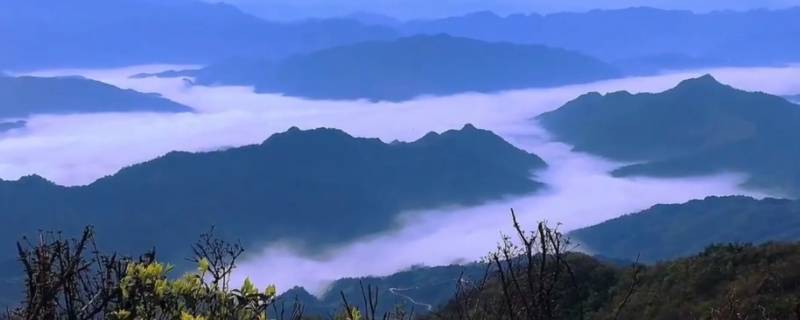 雪峰山主峰在哪个县