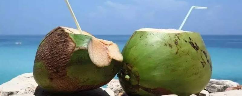 椰子如何打开