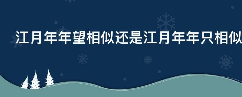 江月年年望相似还是江月年年只相似