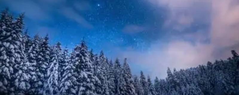 澳大利亚冬季有雪吗