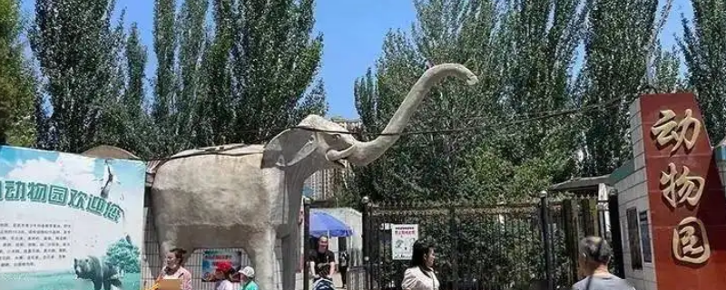 动物园为什么不能随意摸动物