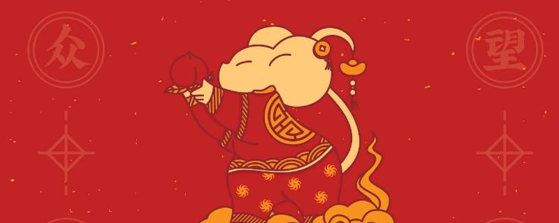 老鼠是什么年